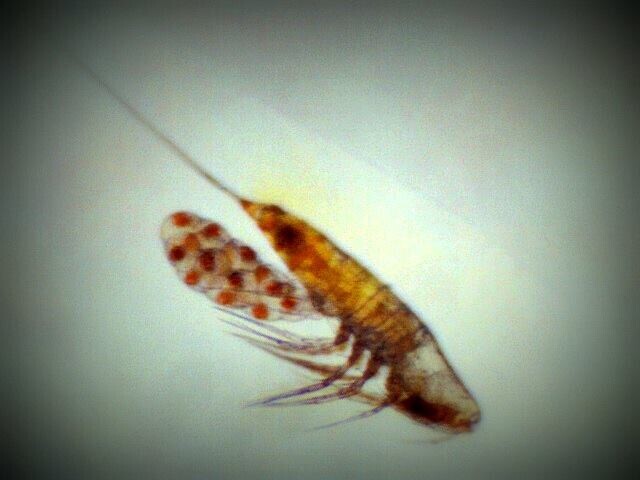 Crédit photo: Ariane T-M