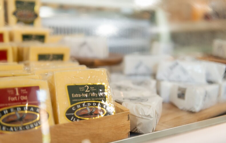 Dégustation et interprétation des fromages de l'île